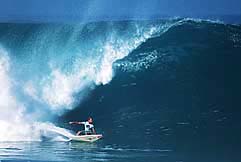 Largest Encyclopedia of Surfing