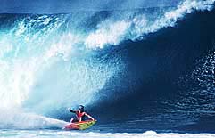 Largest Encyclopedia of Surfing