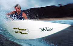 Largest Encyclopedia of Surfing