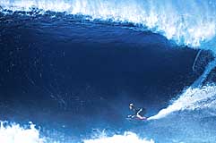 Largest Encyclopedia of Surfing