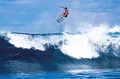 Largest Encyclopedia of Surfing