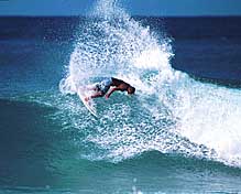 Largest Encyclopedia of Surfing