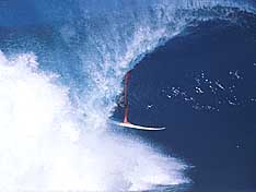 Largest Encyclopedia of Surfing