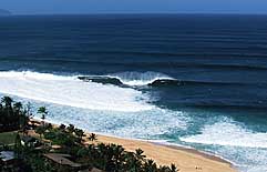 Largest Encyclopedia of Surfing