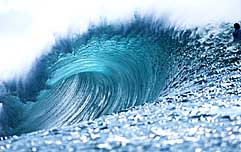 Largest Encyclopedia of Surfing