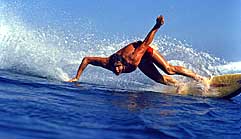 Largest Encyclopedia of Surfing