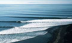 Largest Encyclopedia of Surfing
