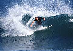 Largest Encyclopedia of Surfing