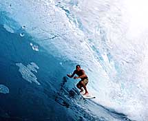 Largest Encyclopedia of Surfing