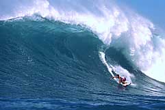 Largest Encyclopedia of Surfing