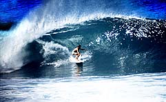 Largest Encyclopedia of Surfing