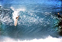 Largest Encyclopedia of Surfing