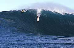 Largest Encyclopedia of Surfing
