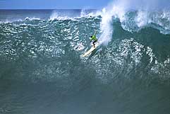 Largest Encyclopedia of Surfing